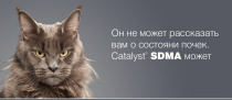 Уважаемые клиенты.
В нашем центре проводится тест на выявление ранней стадии почечной недостаточности у животных: SDMA – тест. Для проведения теста сдается кровь. SDMA является более значимым показателем для оценки функции почек, который позволяет выявлять изменения в работе почек на ранней стадии.